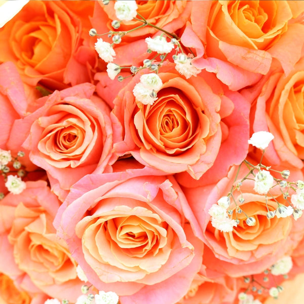 Blooming
