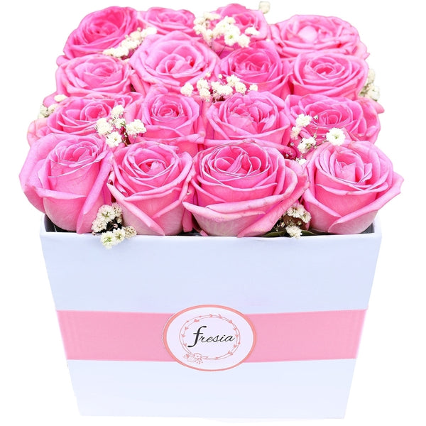 Rose Dream
