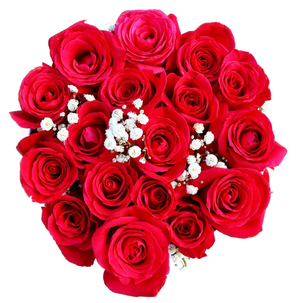 Hot Pink - Pink Roses