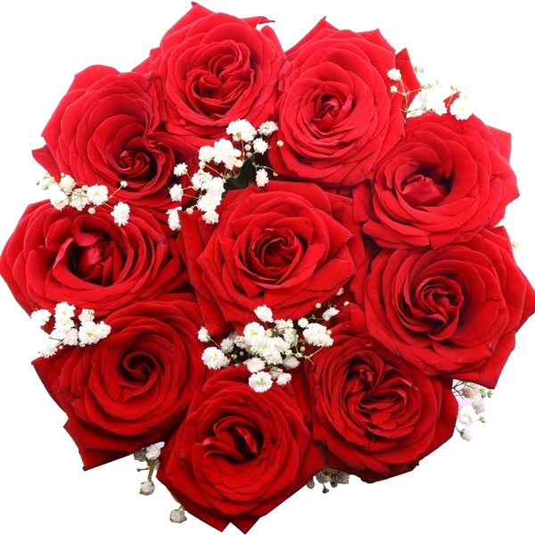 Ruby - Red Roses