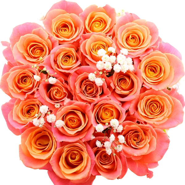 Coral