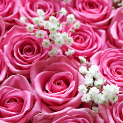 Pink Romance