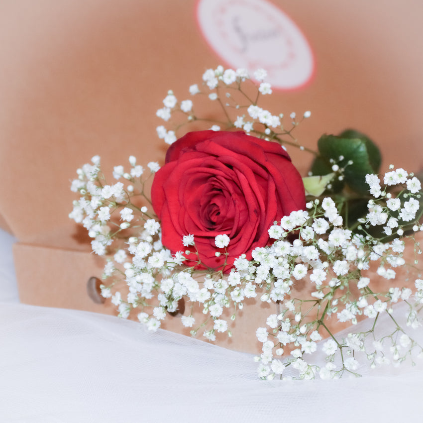 Letterbox Single Rose