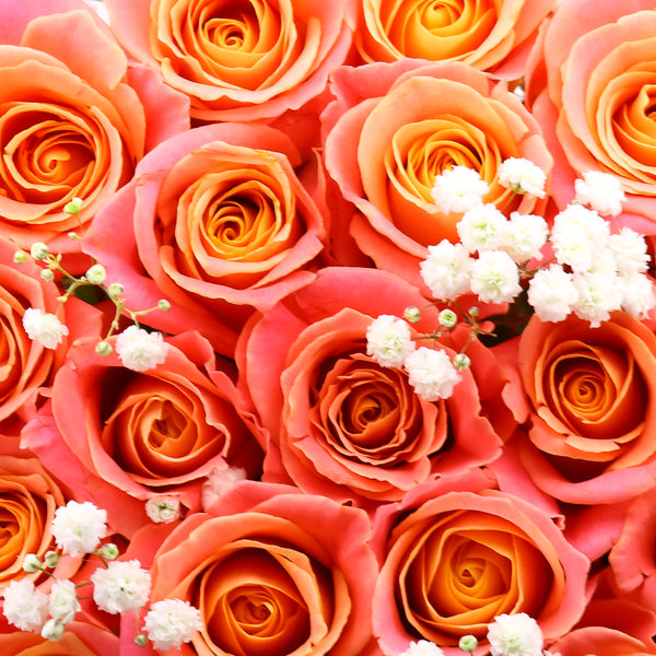 coral
