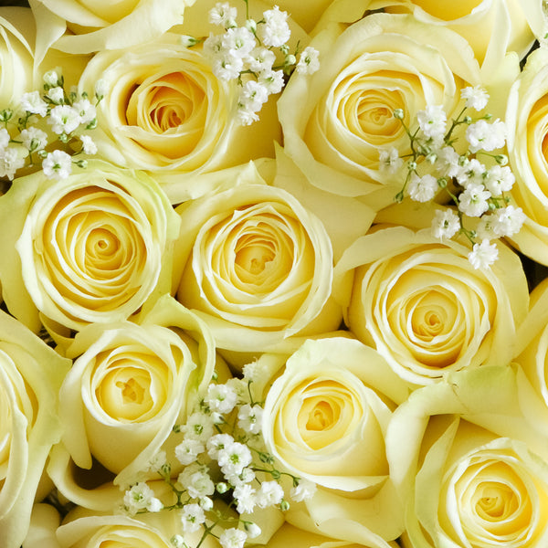 Letterbox Single Rose