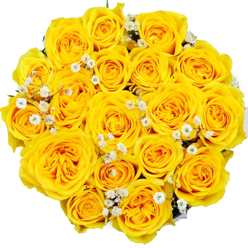 Golden - Send Yellow Roses