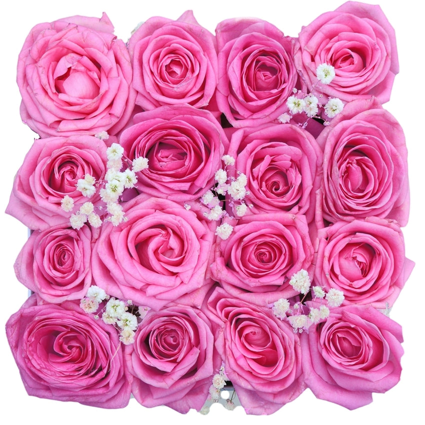 Rose Dream - 16 Pink Roses