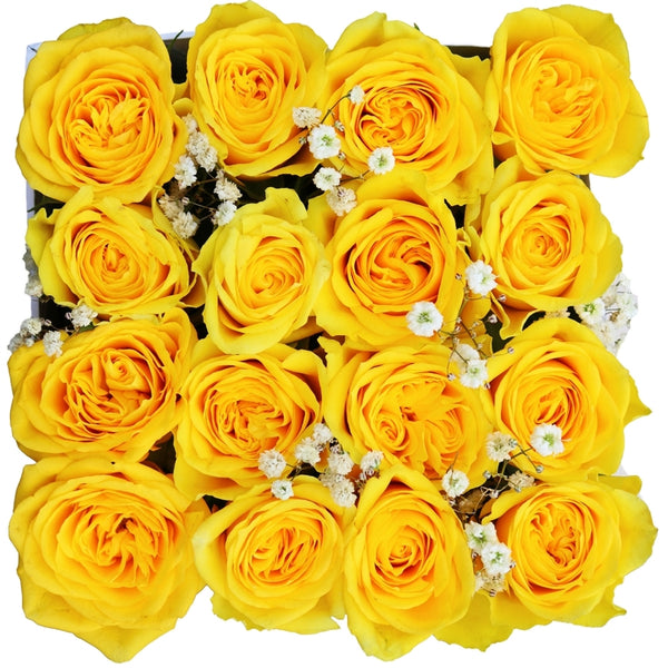 Spring - Send 18 Yellow Roses